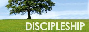Discipleship-Tree-Field